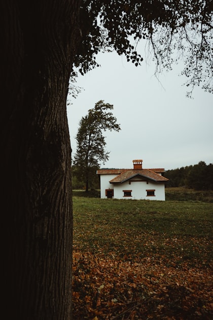 Tips for Buying Property in Istria